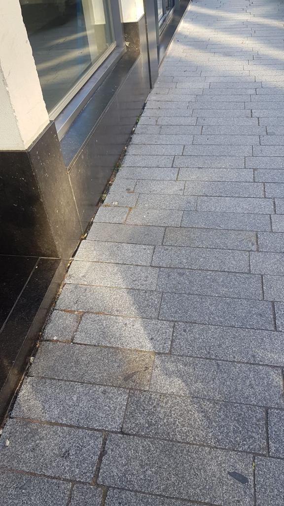 Pipoos_GevelBesterd_onderkant.jpeg
